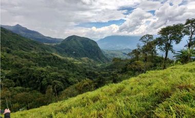 Venta finca lechera el cerro Fredonia suroeste Antioqueño