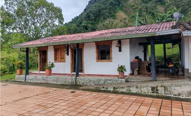 Venta finca lechera el cerro Fredonia suroeste Antioqueño