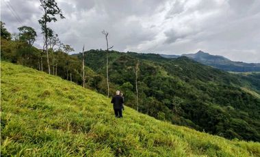 Venta finca lechera el cerro Fredonia suroeste Antioqueño