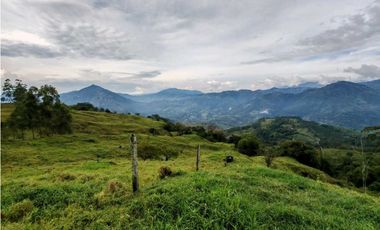Venta finca lechera el cerro Fredonia suroeste Antioqueño