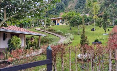 Venta finca lechera el cerro Fredonia suroeste Antioqueño