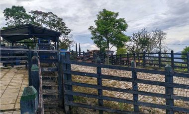 Venta finca lechera el cerro Fredonia suroeste Antioqueño