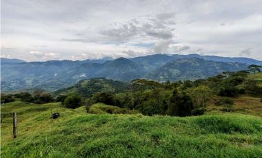 Venta finca lechera el cerro Fredonia suroeste Antioqueño