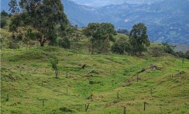 Venta finca lechera el cerro Fredonia suroeste Antioqueño