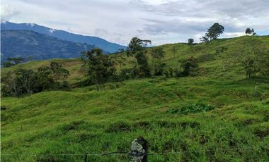Venta finca lechera el cerro Fredonia suroeste Antioqueño