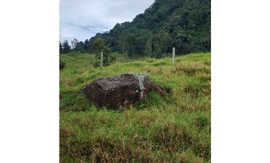 Venta finca lechera el cerro Fredonia suroeste Antioqueño