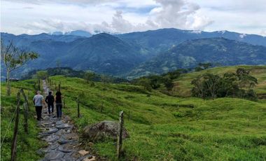 Venta finca lechera el cerro Fredonia suroeste Antioqueño