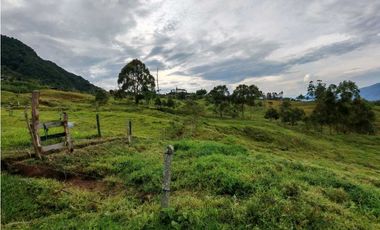 Venta finca lechera el cerro Fredonia suroeste Antioqueño