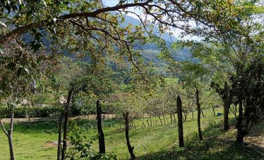 Venta finca en Venecia suroeste antioqueño