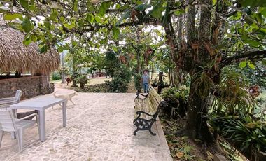 Venta finca en Venecia suroeste antioqueño
