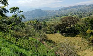 Venta finca en Venecia suroeste antioqueño