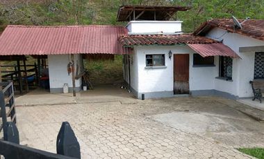 Venta finca en Venecia suroeste antioqueño