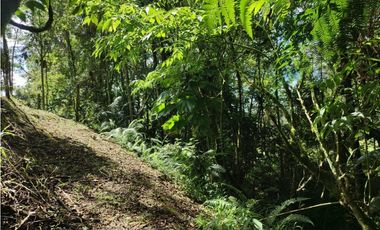 Vive entre naturaleza y tranquilidad en La Ceja. finca en venta