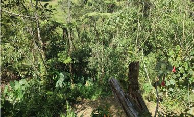 Vive entre naturaleza y tranquilidad en La Ceja. finca en venta