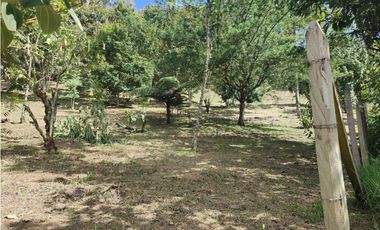 Vive entre naturaleza y tranquilidad en La Ceja. finca en venta
