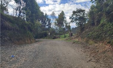 Vive entre naturaleza y tranquilidad en La Ceja. finca en venta