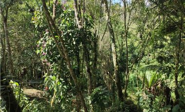Vive entre naturaleza y tranquilidad en La Ceja. finca en venta