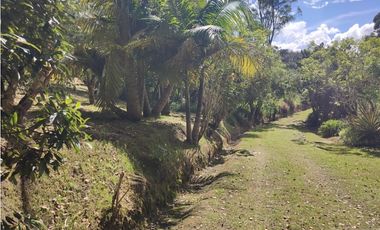Vive entre naturaleza y tranquilidad en La Ceja. finca en venta