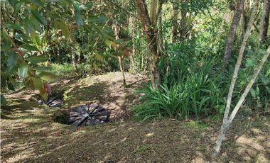 Vive entre naturaleza y tranquilidad en La Ceja. finca en venta