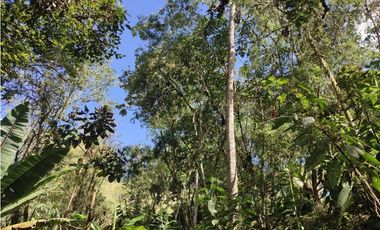 Vive entre naturaleza y tranquilidad en La Ceja. finca en venta