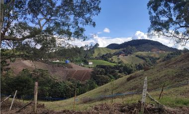Vive entre naturaleza y tranquilidad en La Ceja. finca en venta