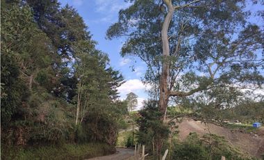Vive entre naturaleza y tranquilidad en La Ceja. finca en venta