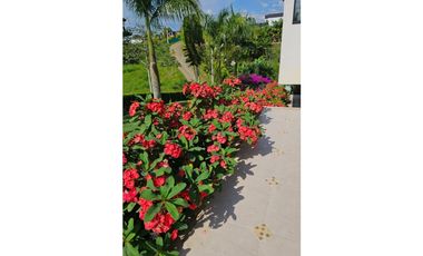 🌿 Villa en venta o permuta – Alcalá, Valle del Cauca