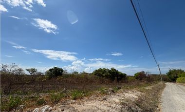 PIEDRAS GORDAS / SAN CARLOS / 12500M / TERRENO / CERCA A PANAMERICANA