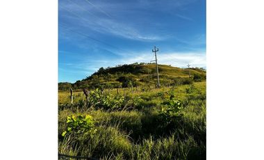 GRAN FINCA Titulada 19 Ha en Las Palmas – A 7 km Interamericana