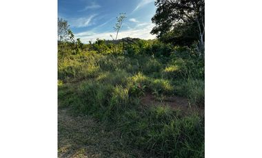 GRAN FINCA Titulada 19 Ha en Las Palmas – A 7 km Interamericana