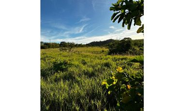 GRAN FINCA Titulada 19 Ha en Las Palmas – A 7 km Interamericana