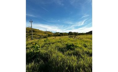 GRAN FINCA Titulada 19 Ha en Las Palmas – A 7 km Interamericana