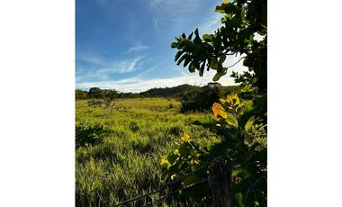GRAN FINCA Titulada 19 Ha en Las Palmas – A 7 km Interamericana