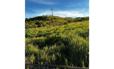 GRAN FINCA Titulada 19 Ha en Las Palmas – A 7 km Interamericana