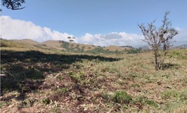 SAN CARLOS / LA LAGUNA / 4019M / VISTA AL MAR / PARA DESARROLLO