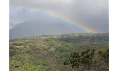 SE VENDE TERRENO EN LA LAGUNA DE SAN CARLOS IDEAL PARA DESARROLLO