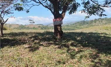 SE VENDE TERRENO EN LA LAGUNA DE SAN CARLOS IDEAL PARA DESARROLLO