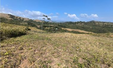 SE VENDE TERRENO EN LA LAGUNA DE SAN CARLOS IDEAL PARA DESARROLLO