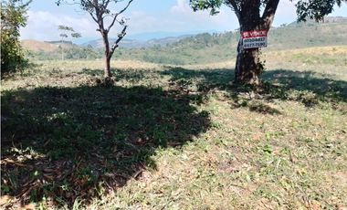 SE VENDE TERRENO EN LA LAGUNA DE SAN CARLOS IDEAL PARA DESARROLLO