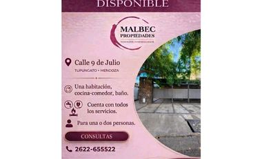 DEPARTAMENTO EN ALQUILER, Tupungato Mendoza