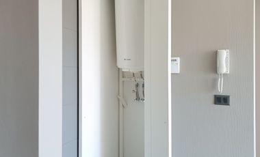 Paulina 8753 [3118-1]