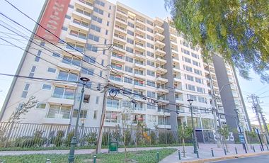 Paulina 8753 [3118-1]