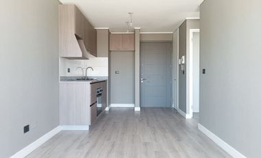 Paulina 8753 [3118-1]