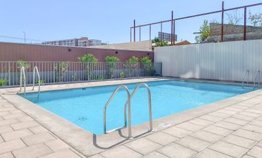 Paulina 8753 [3118-1]