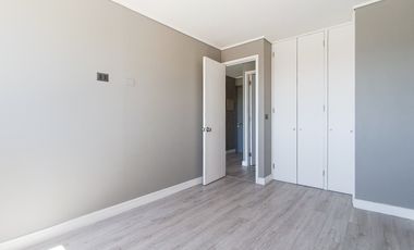 Paulina 8753 [3118-1]
