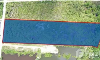 Land for sale in Na Di, Samut Sakhon