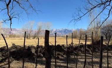 Venta Uspallata 3.000 m2 con Casa y Cabaña, Mza
