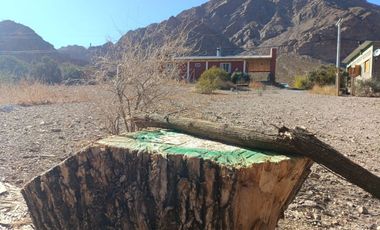 Venta Uspallata 3.000 m2 con Casa y Cabaña, Mza