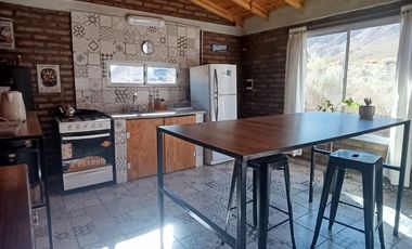 Venta Uspallata 3.000 m2 con Casa y Cabaña, Mza