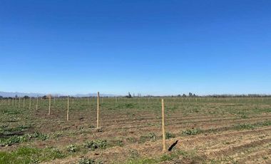Parcela en venta  en CHILLÁN